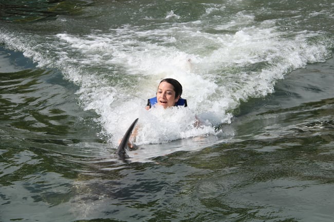 Swimming at Dolphin Plus in Florida